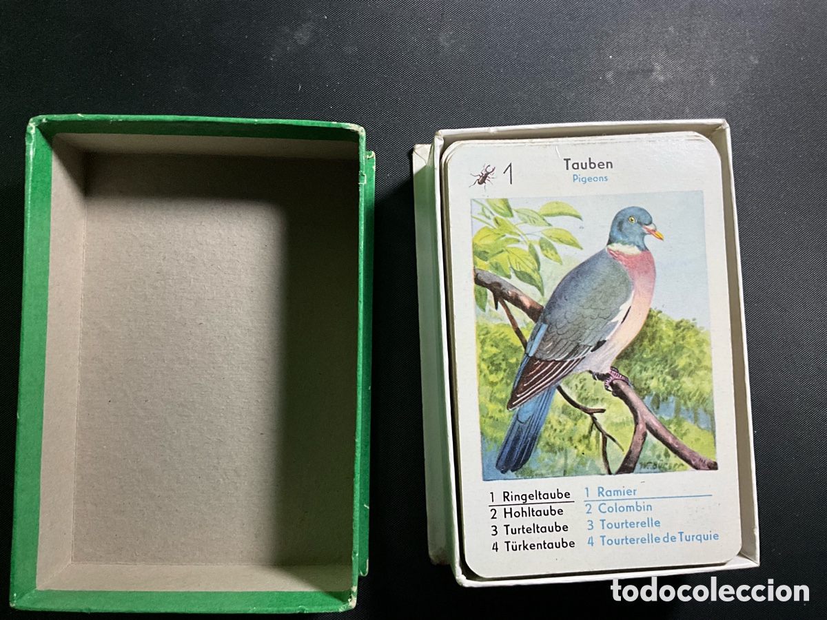Barajas de cartas: Juego de cartas alem&aacute;n - Foto 3