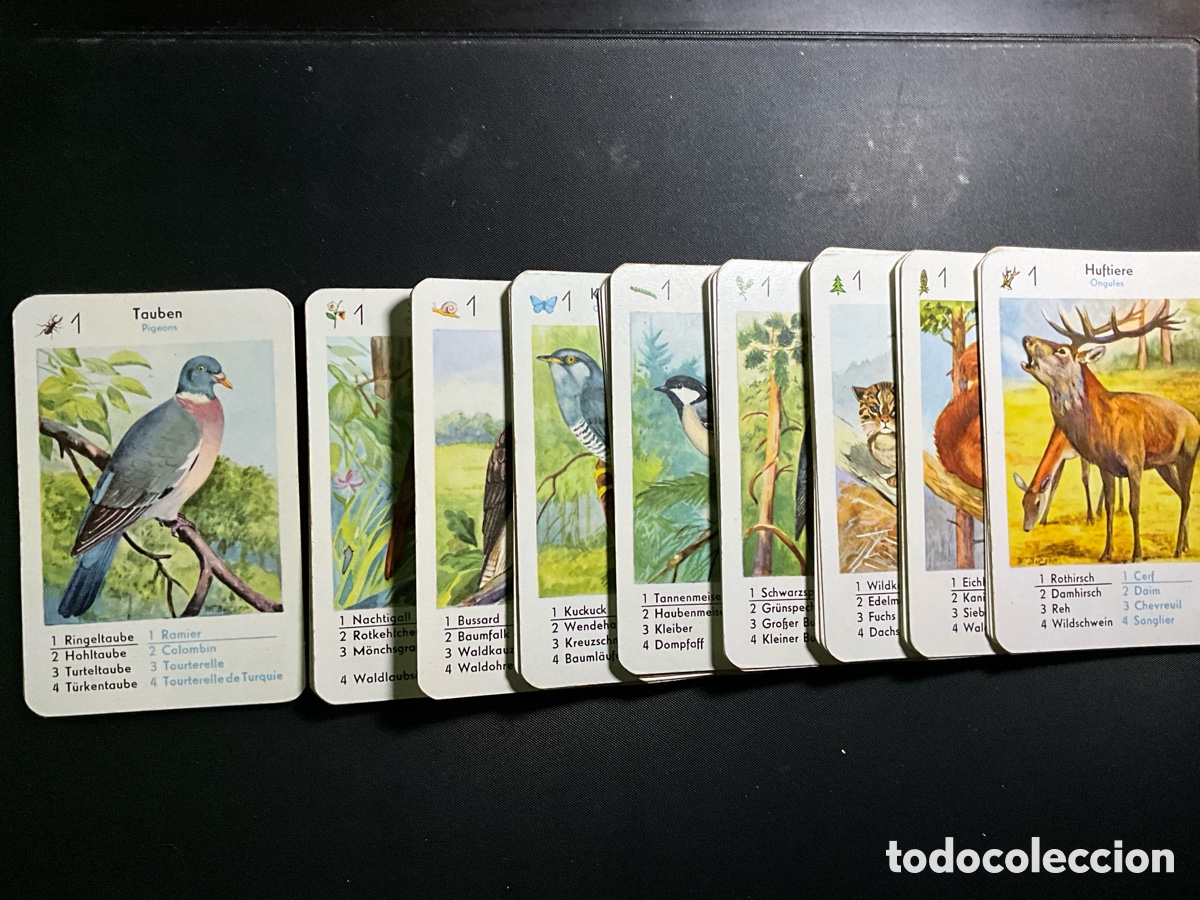 Barajas de cartas: Juego de cartas alem&aacute;n - Foto 5