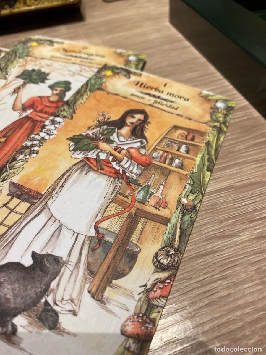 Barajas de cartas: LAS CARTAS DE LAS BRUJAS - DE VECCHI - Foto 3
