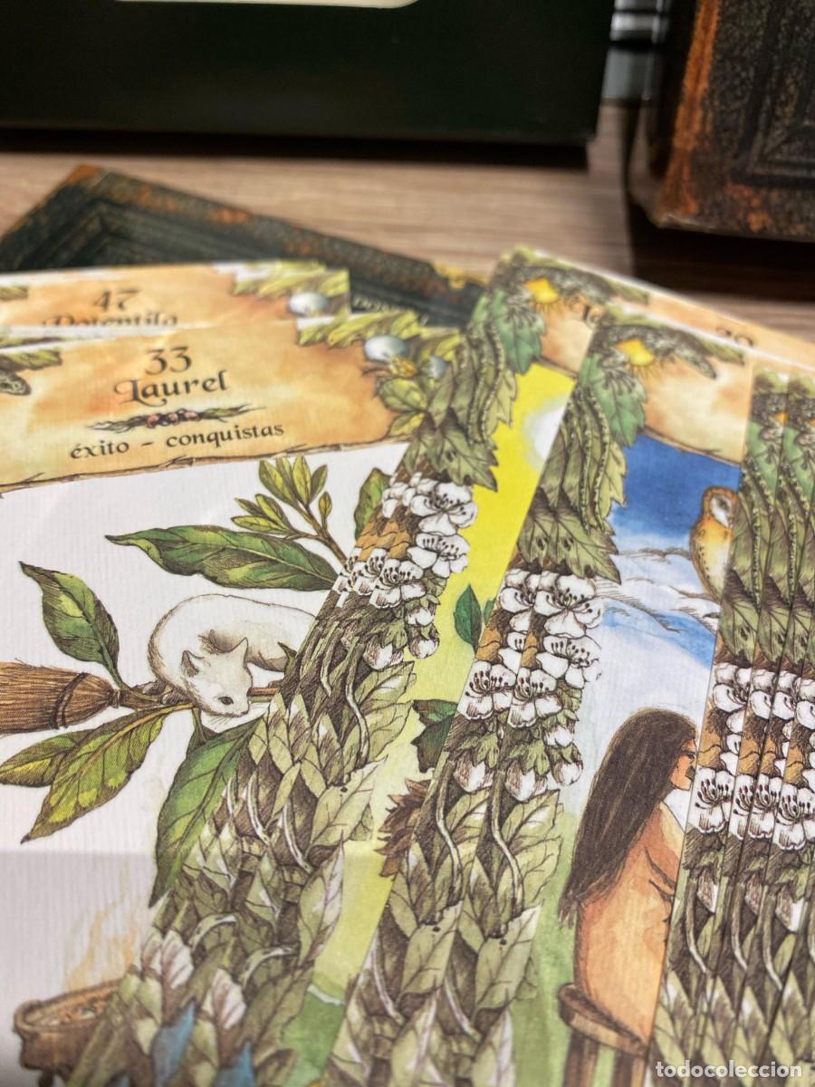 Barajas de cartas: LAS CARTAS DE LAS BRUJAS - DE VECCHI - Foto 5