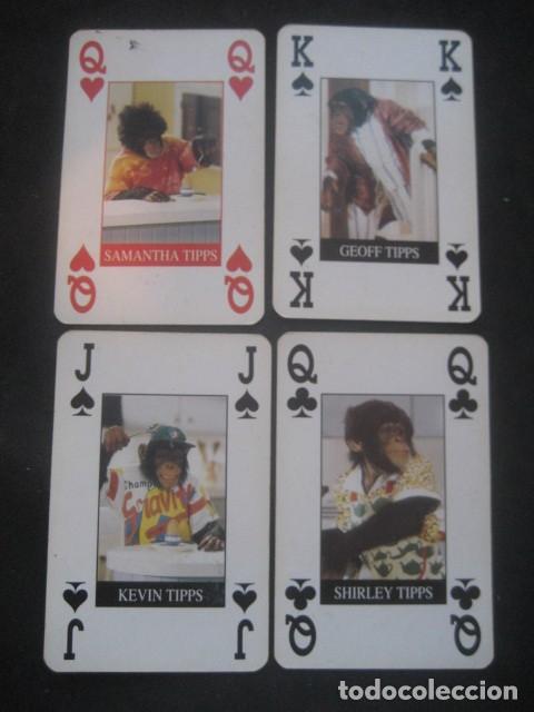 Barajas de cartas: BARAJA POKER. MONOS SIMIOS - Foto 2