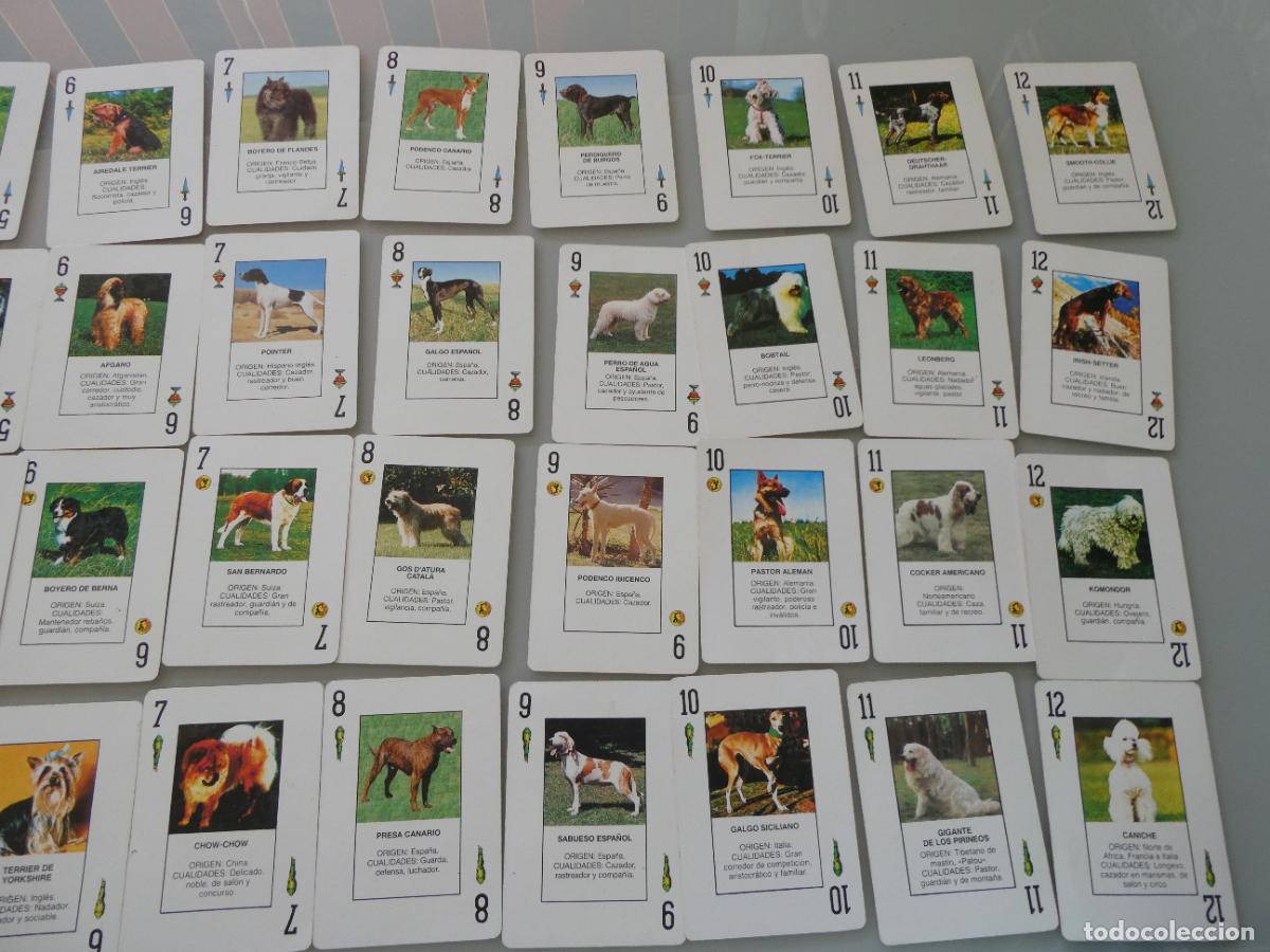 Barajas de cartas: BARAJA DE CARTAS ESPA&Ntilde;OLA. PURINA BOCADOS TOP CADA NAIPE UN PERRO RAZA. 100GR