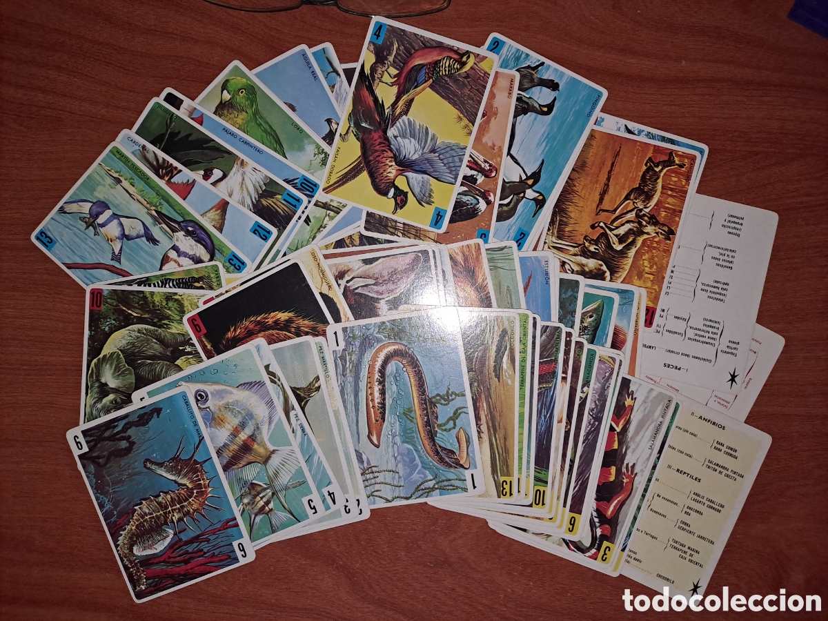 Barajas de cartas: Juego de cartas vintage &rdquo;Animales Vertebrados&rdquo;