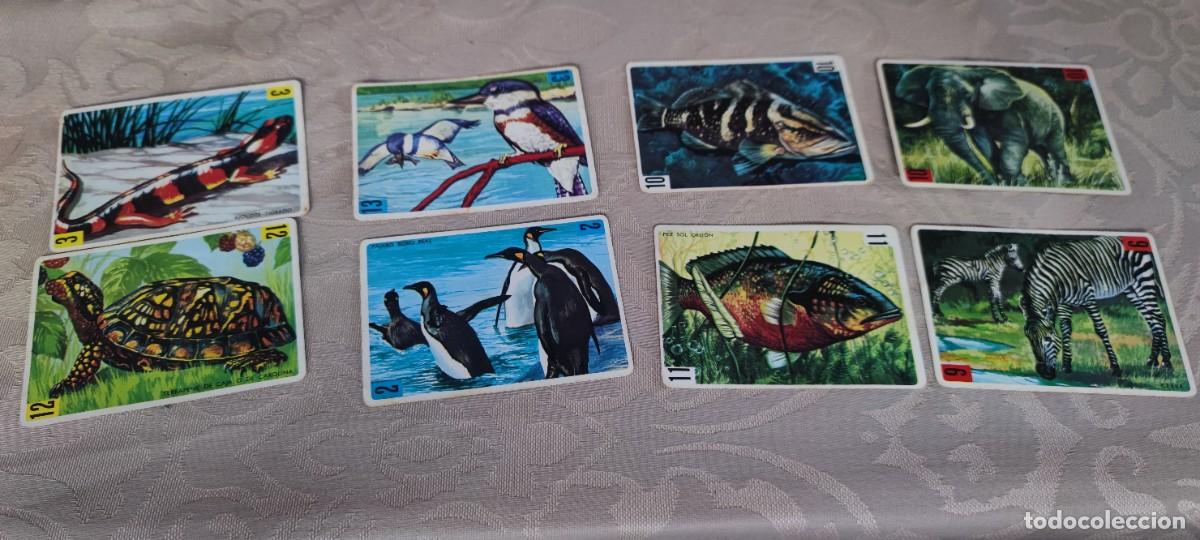 Barajas de cartas: Baraja infantil vintage &rdquo;Animales Vertebrados&rdquo; Fournier (a&ntilde;os 60)- 53 cartas