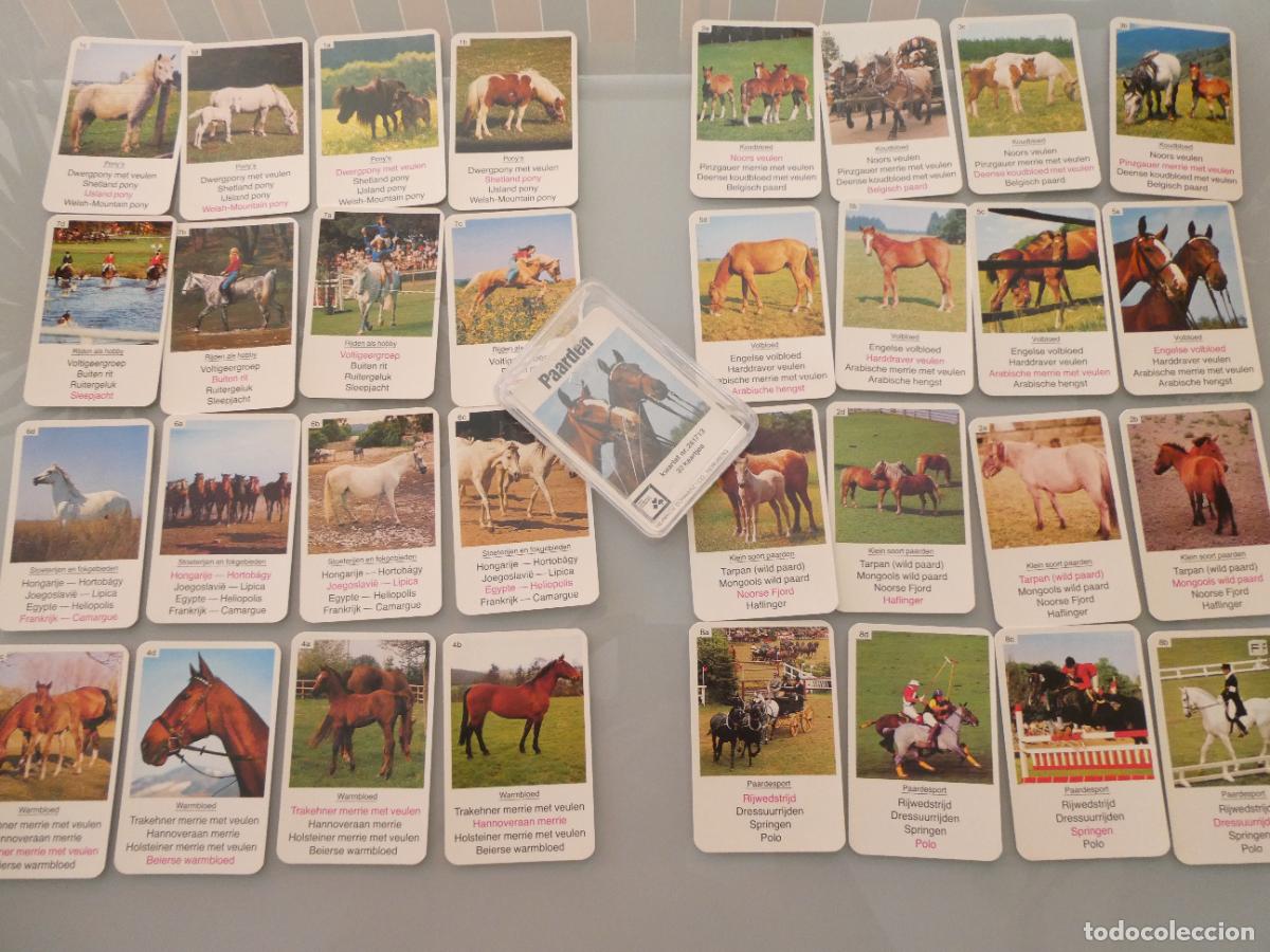 Barajas de cartas: BARAJA DE CARTAS INFANTIL. CUARTETOS. CABALLOS A&Ntilde;OS 70 80. HOLANDA. 100GR
