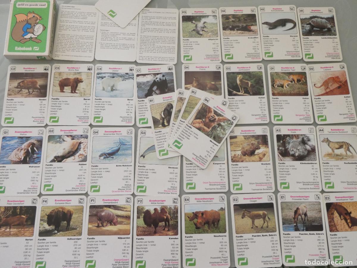Barajas de cartas: BARAJA DE CARTAS INFANTIL. CUARTETOS HOLANDA BANCO RABOBANK. ANIMALES. 90GR