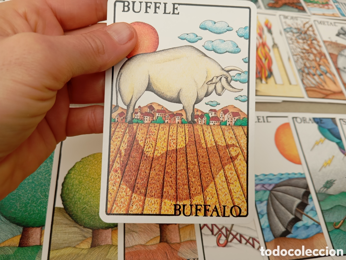 Barajas de cartas: Horoscope Chinois, Grimaud - Foto 6