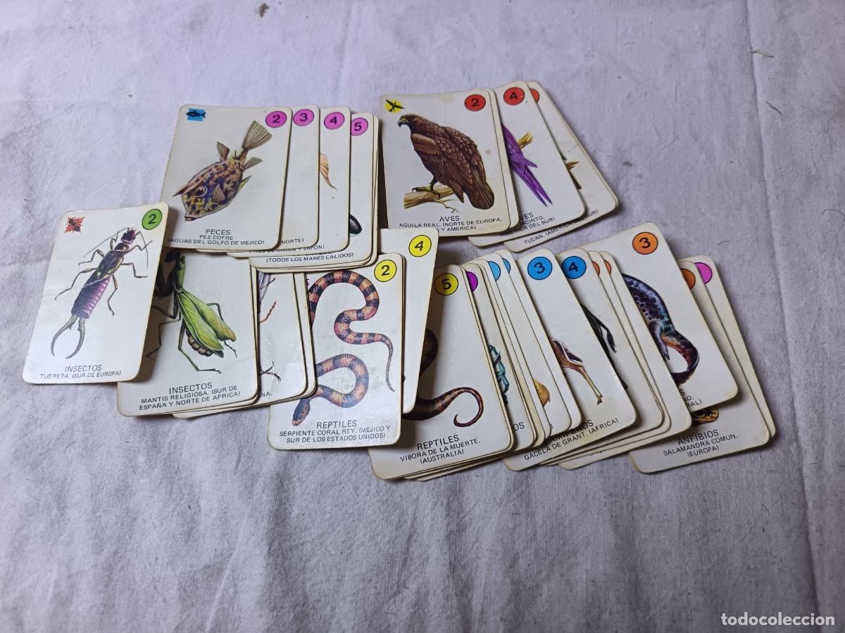 Barajas de cartas: Baraja de Cartas, El Juego de la Naturaleza, en estuche, completa