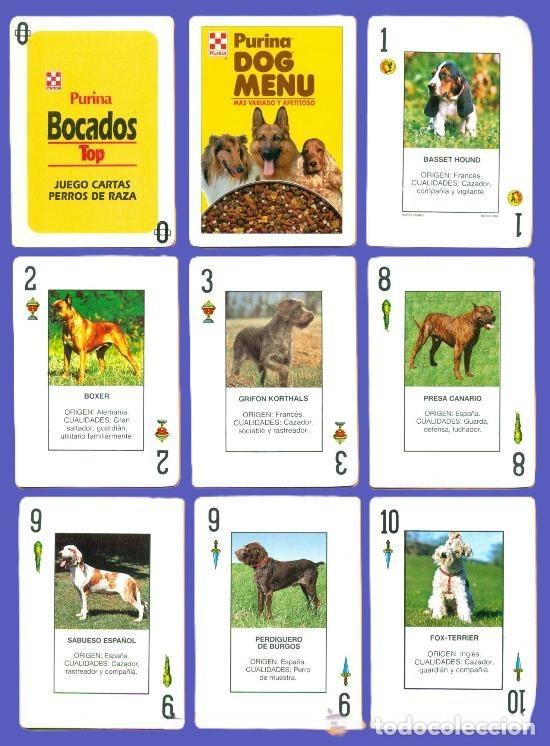 Barajas de cartas: BARAJA DE POKER ESPA&Ntilde;OL PUBLICITARIO PURINA - DOG MENU. NAIPES COMAS. PRECINTADA. RAZAS PERROS.