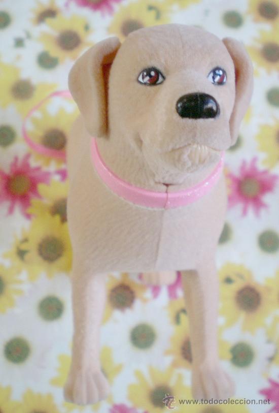 barbie labrador