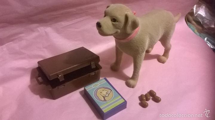 barbie labrador