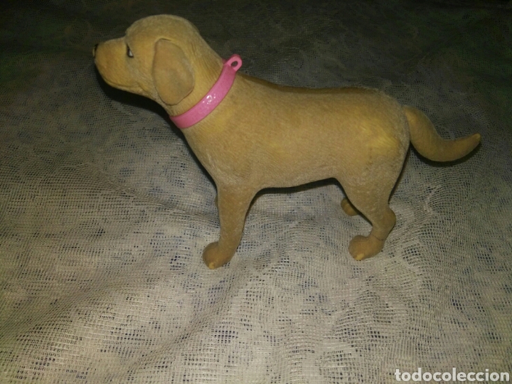 barbie labrador