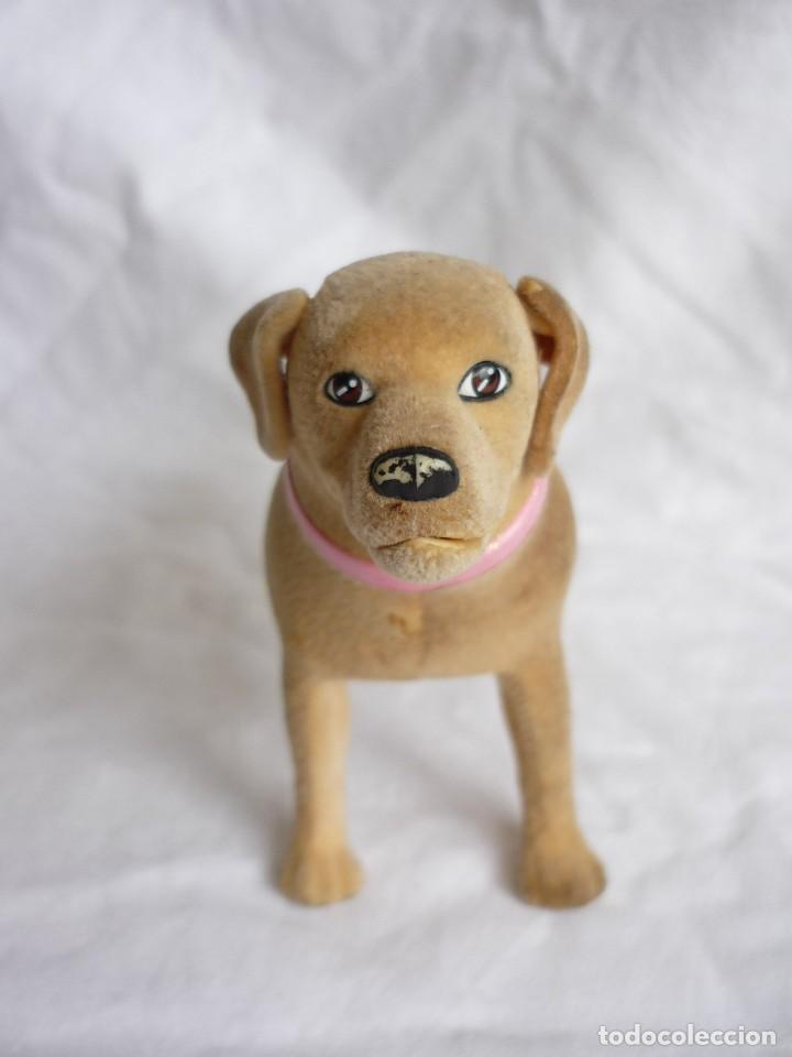 Barbie y Ken: Perro de Barbie - Foto 6