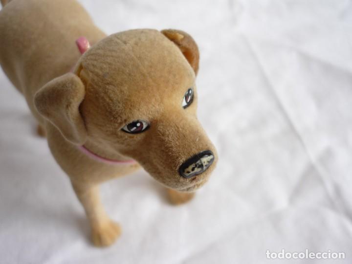 Barbie y Ken: Perro de Barbie - Foto 7