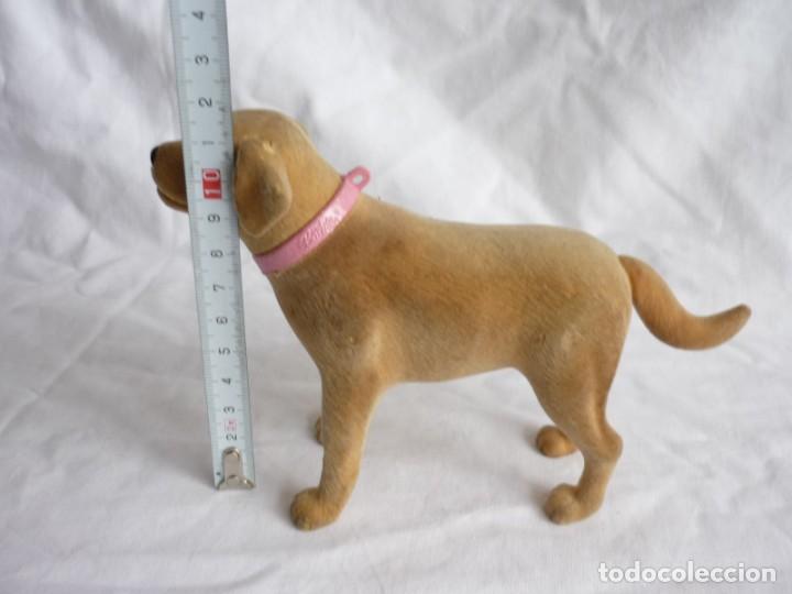 Barbie y Ken: Perro de Barbie - Foto 11