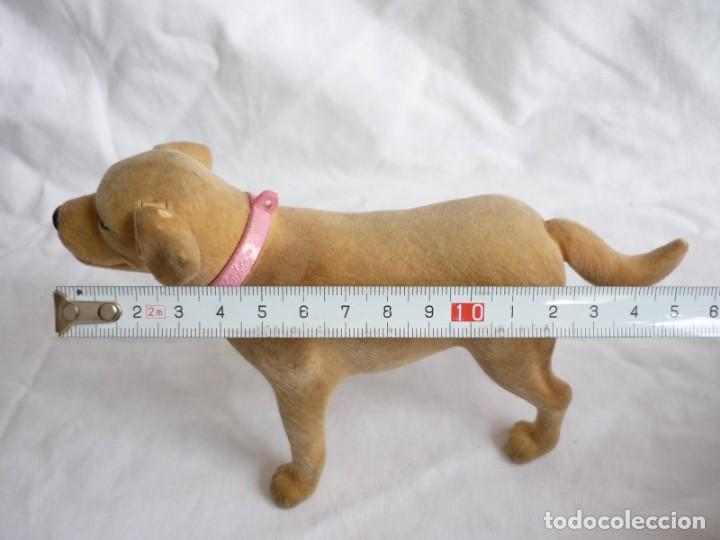 Barbie y Ken: Perro de Barbie - Foto 12