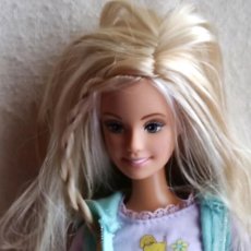Barbie y Ken: BARBIE PASEADORA DE PERROS