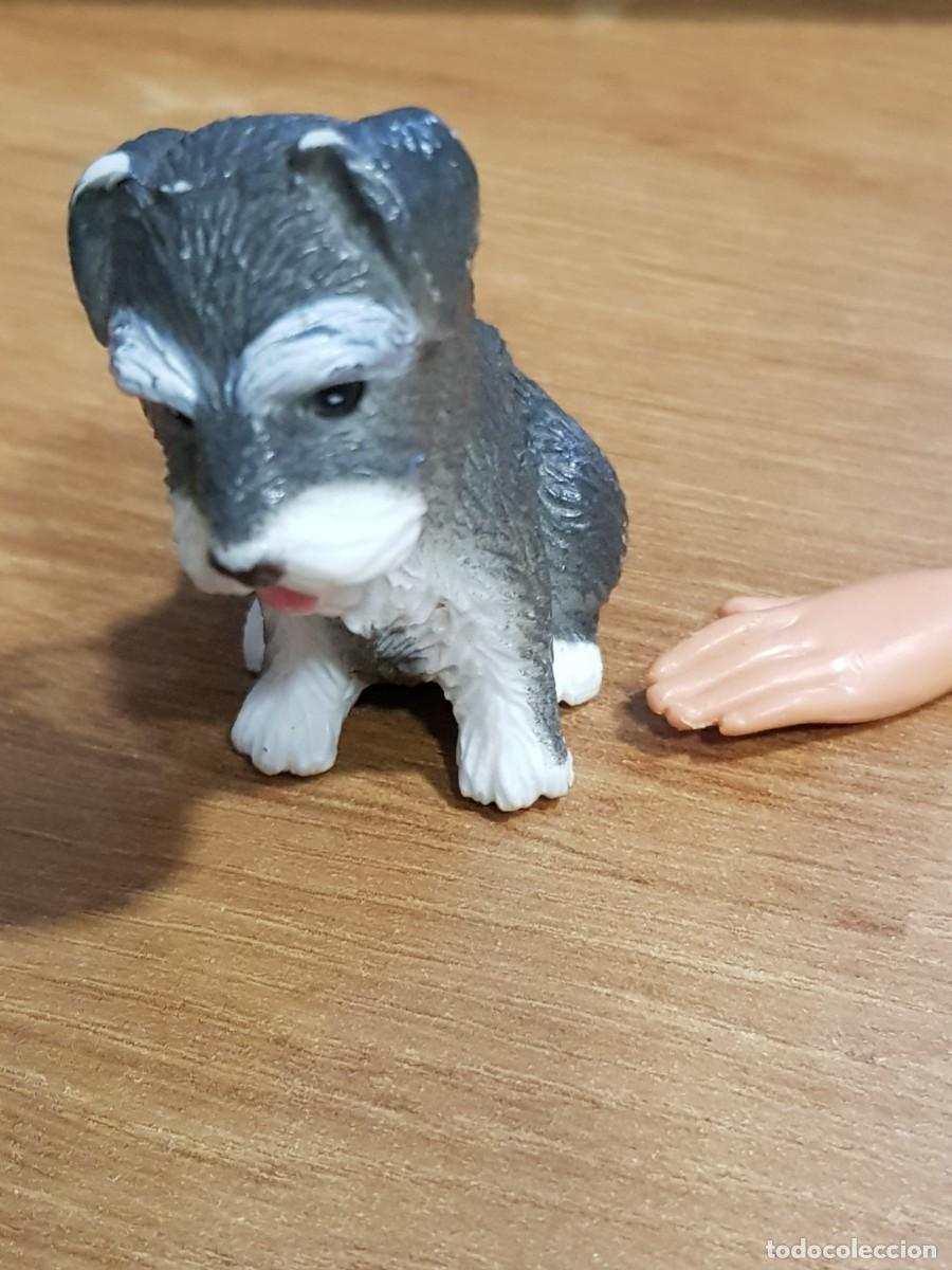 Barbie y Ken: Perro, perrito, mascota, para barbie - Foto 1