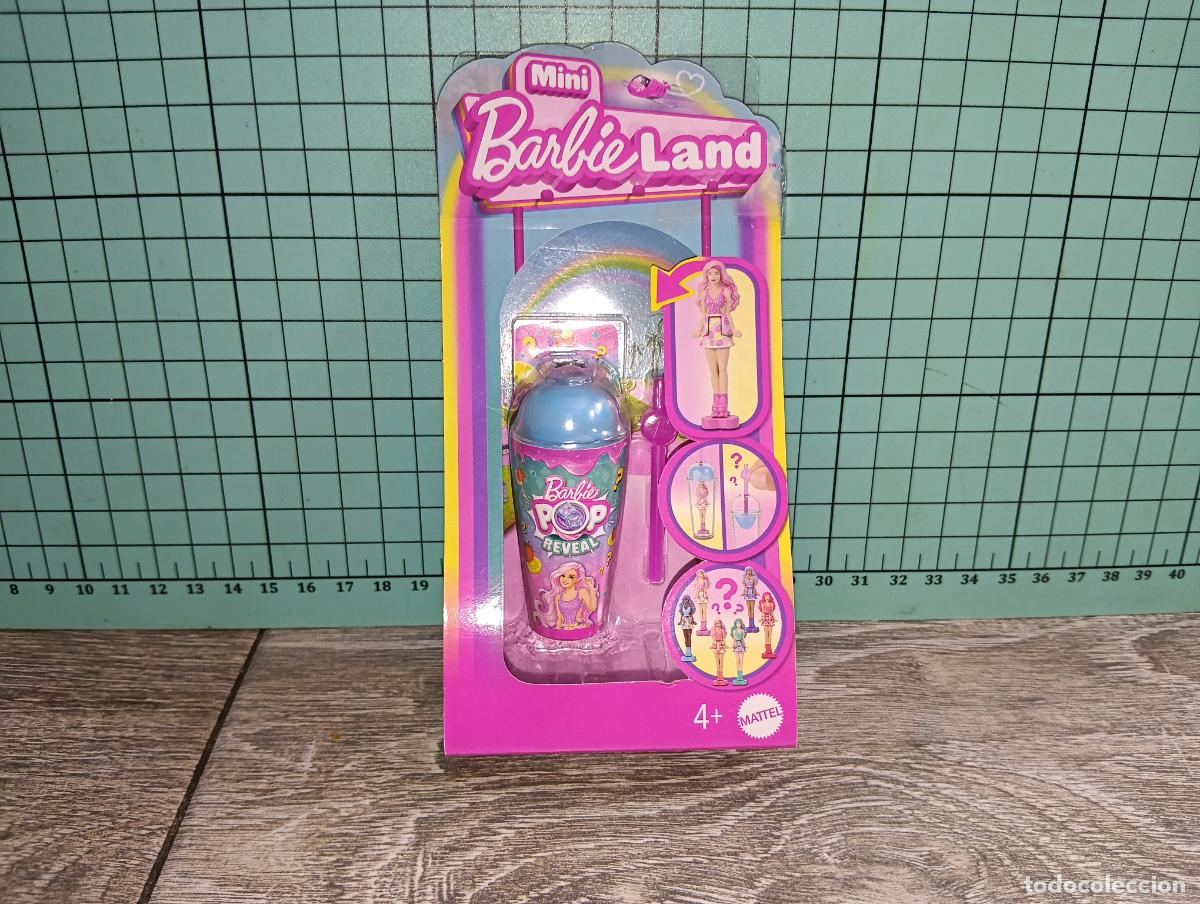 Barbie y Ken: Estuche Blister Mu&ntilde;eca Mini Barbie Land fashion