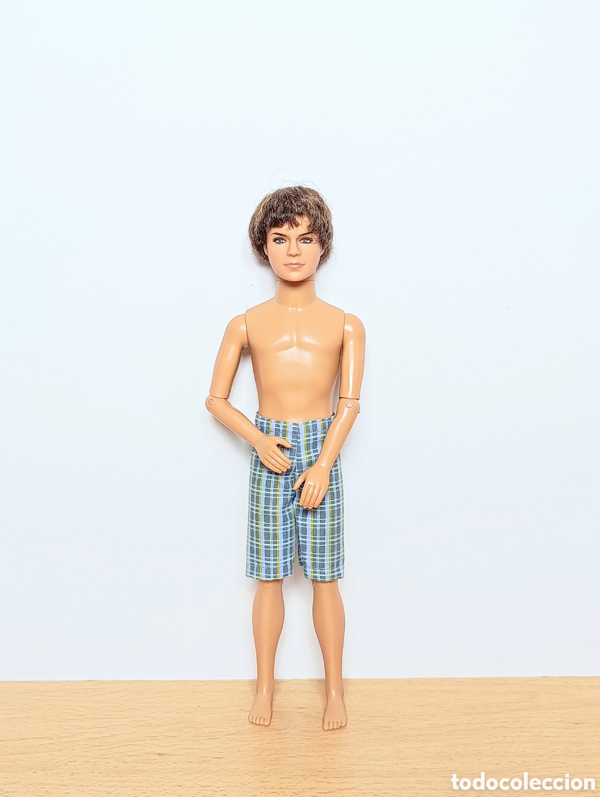 Barbie y Ken: Mu&ntilde;eco ken zac effron high school musical