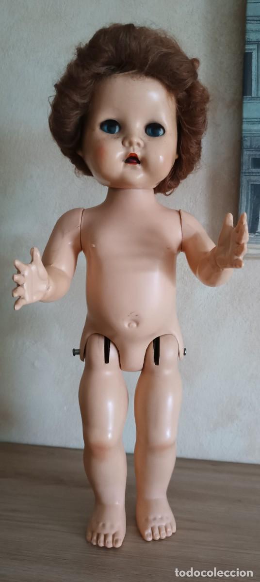 Barbie y Ken: Mu&ntilde;eca inglesa Pedigree - Foto 8