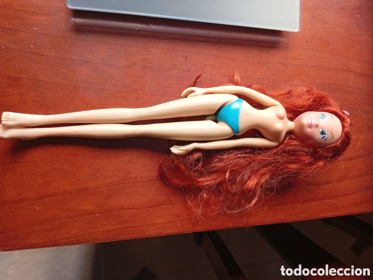 Barbie y Ken: MU&Ntilde;ECA BLOOM WINX CLUB