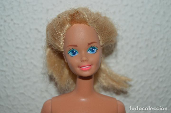 Barbie y Ken: preciosa mu&ntilde;eca barbie cnr - Foto 1