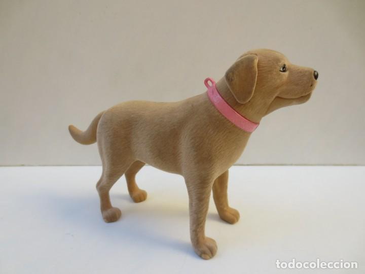 barbie labrador