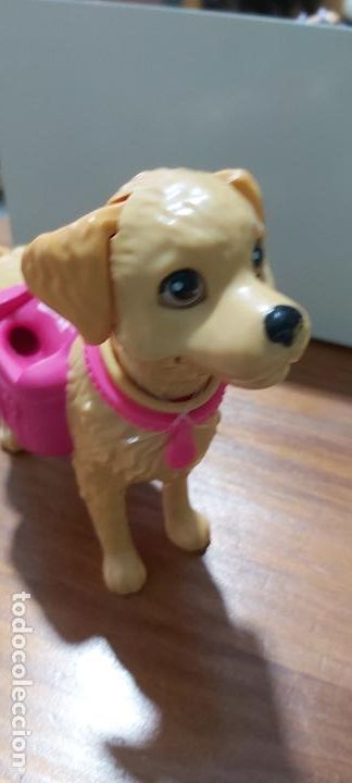Barbie y Ken: Perro taffy de barbie - Foto 2