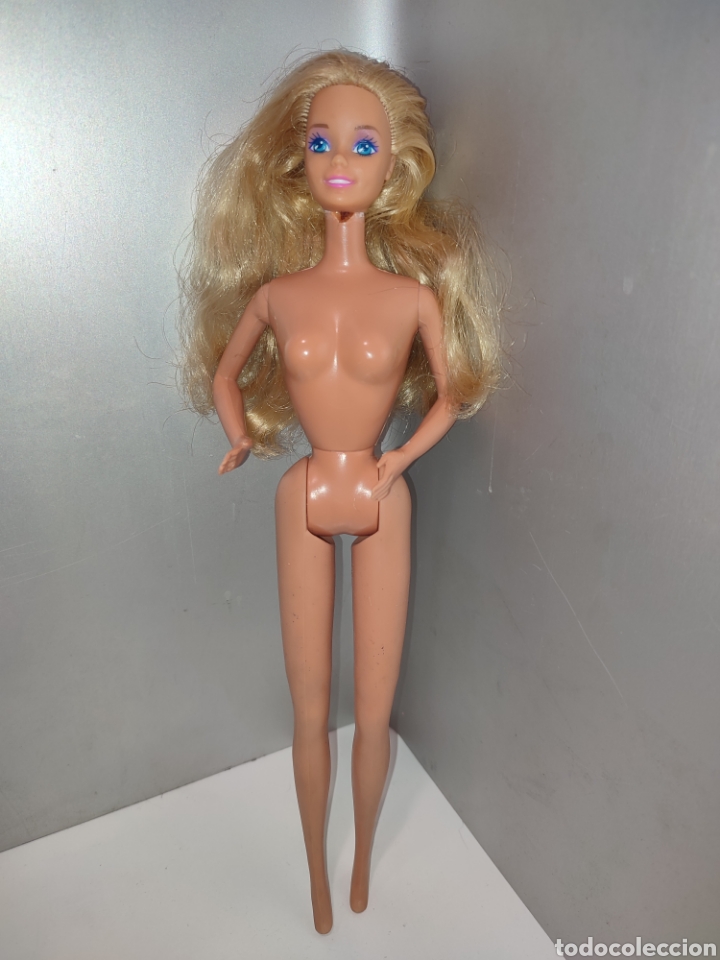 Bambola Barbie fotografa 