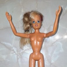Barbie y Ken: MUÑECA ANTIGUA BARBIE KEN. Lote 315080263