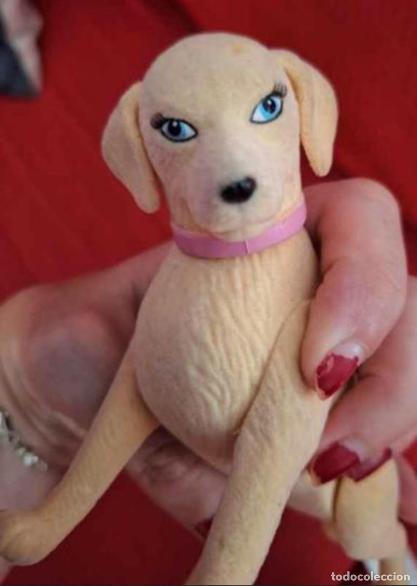 Barbie y Ken: Perrita taffy barbie - Foto 1