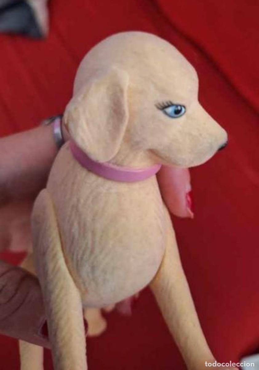Barbie y Ken: Perrita taffy barbie - Foto 6