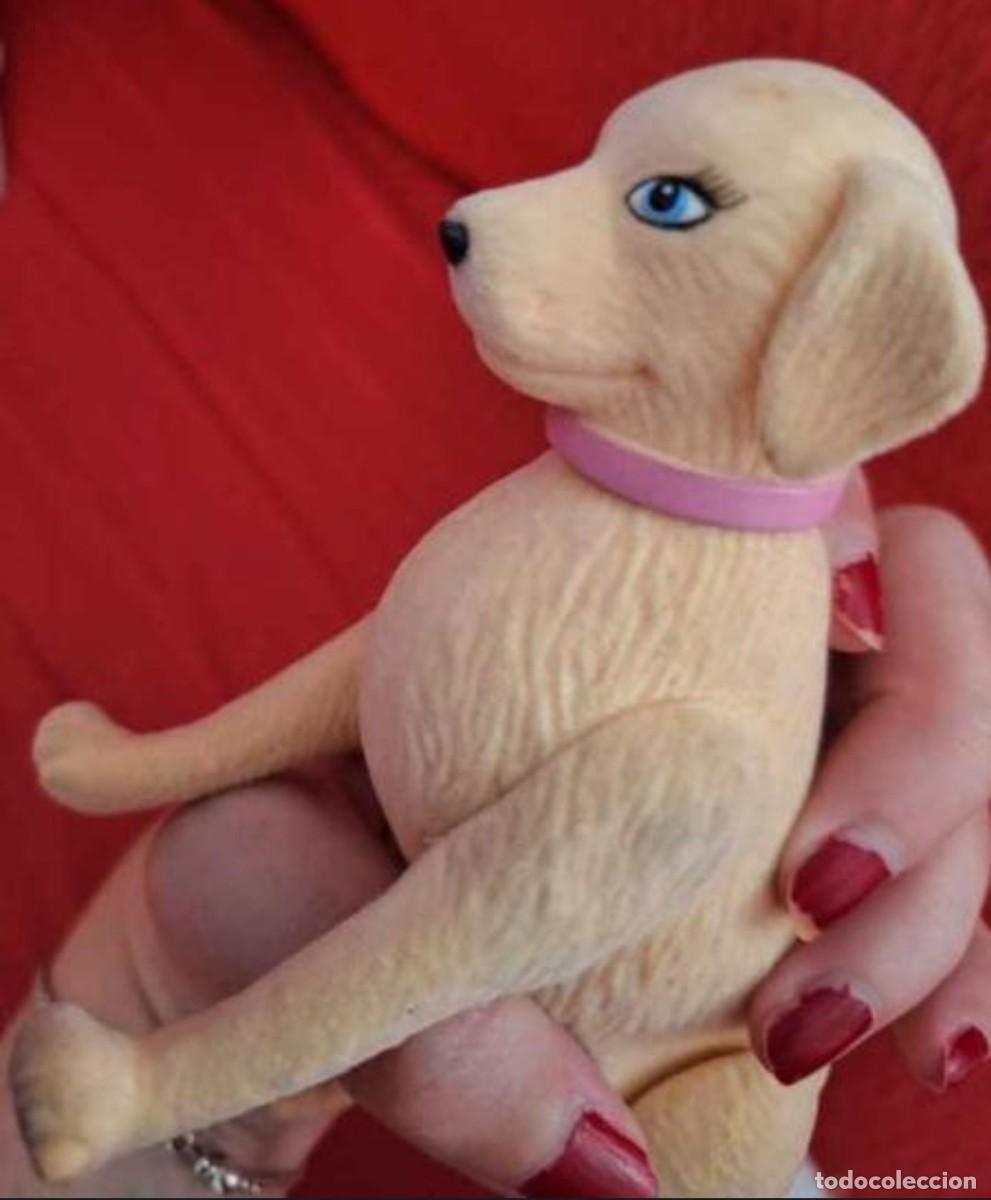 Barbie y Ken: Perrita taffy barbie - Foto 7