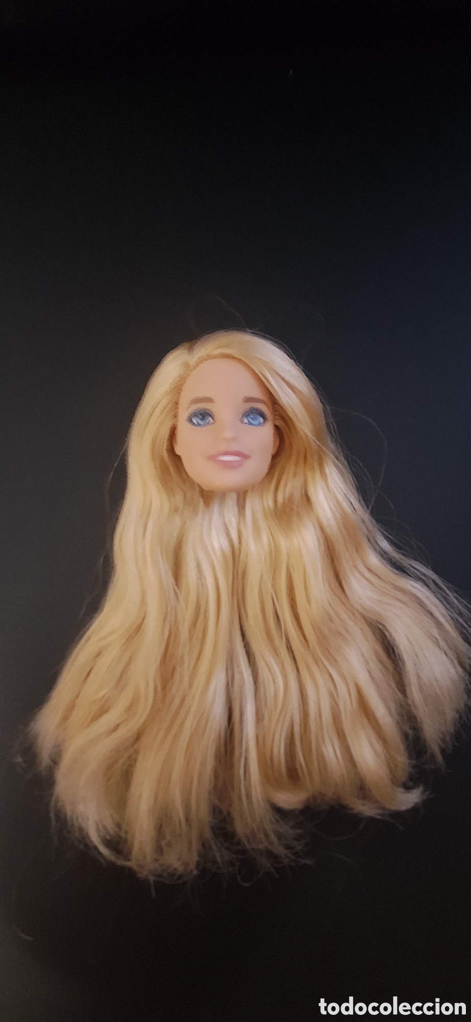 Barbie y Ken: Cabeza Barbie made to move - Foto 1
