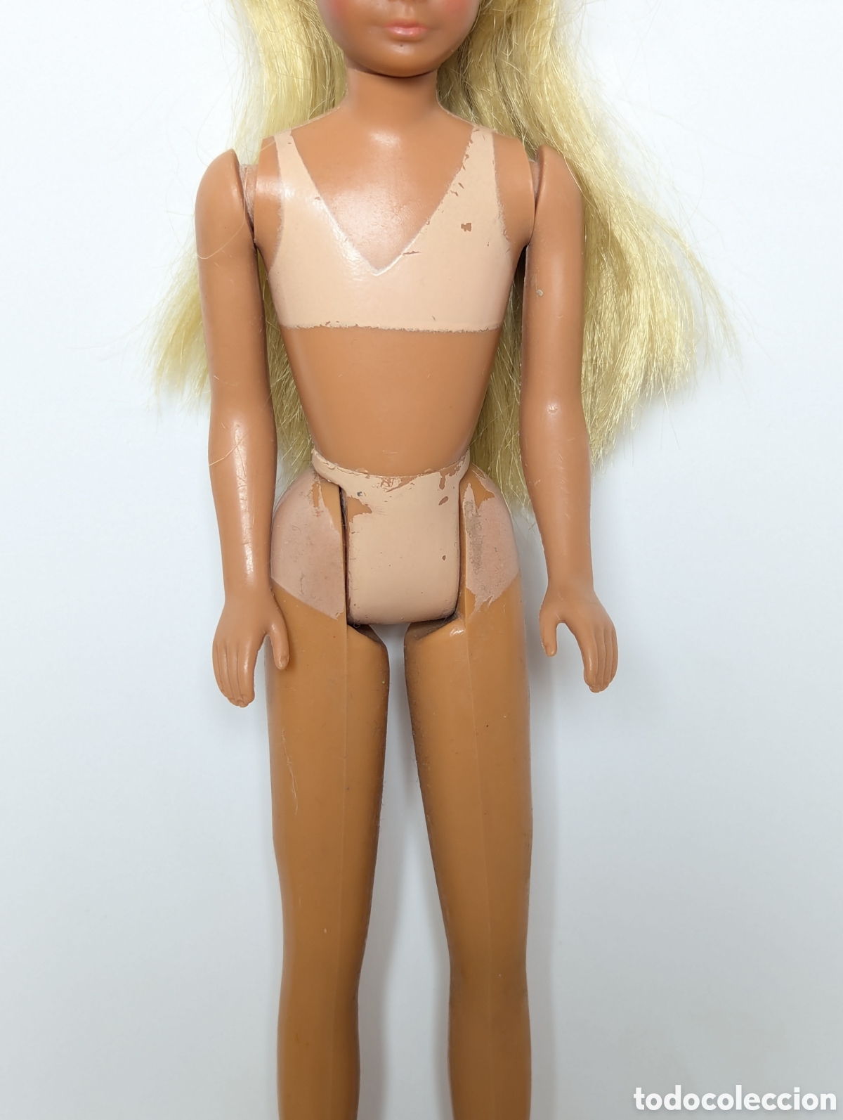 Barbie y Ken: Mu&ntilde;eca Barbie Skipper Malibu - Foto 5