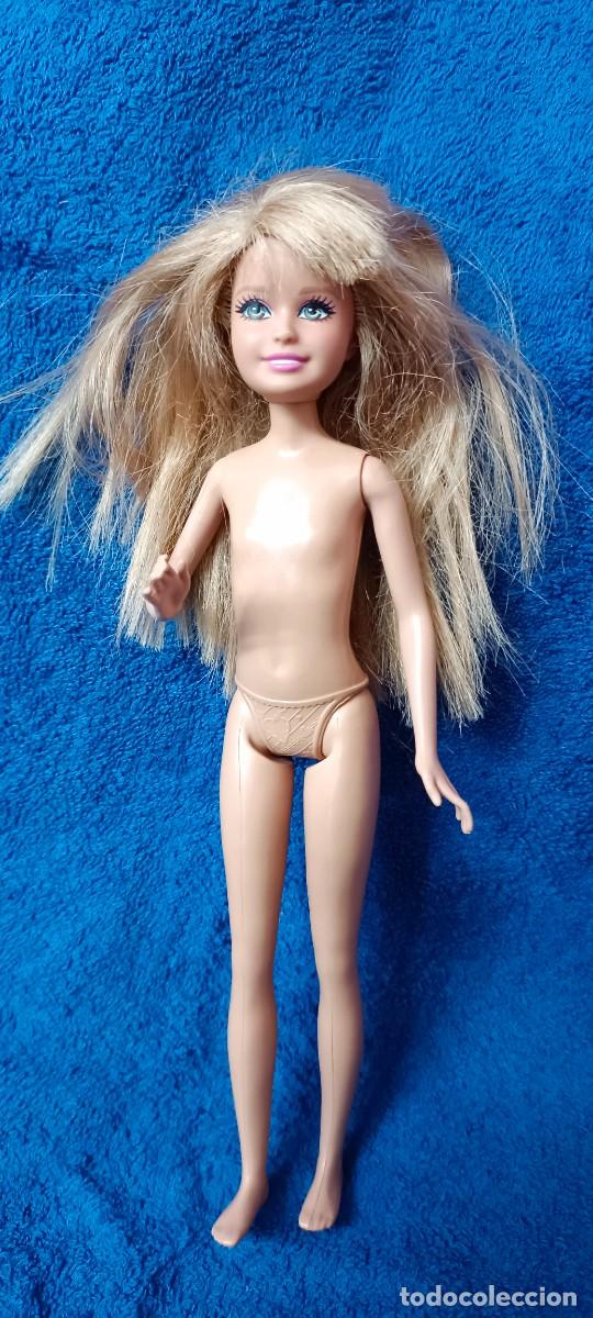 Barbie y Ken: Mu&ntilde;eca hermana adolescente Barbie a&ntilde;o 2010 - Foto 1