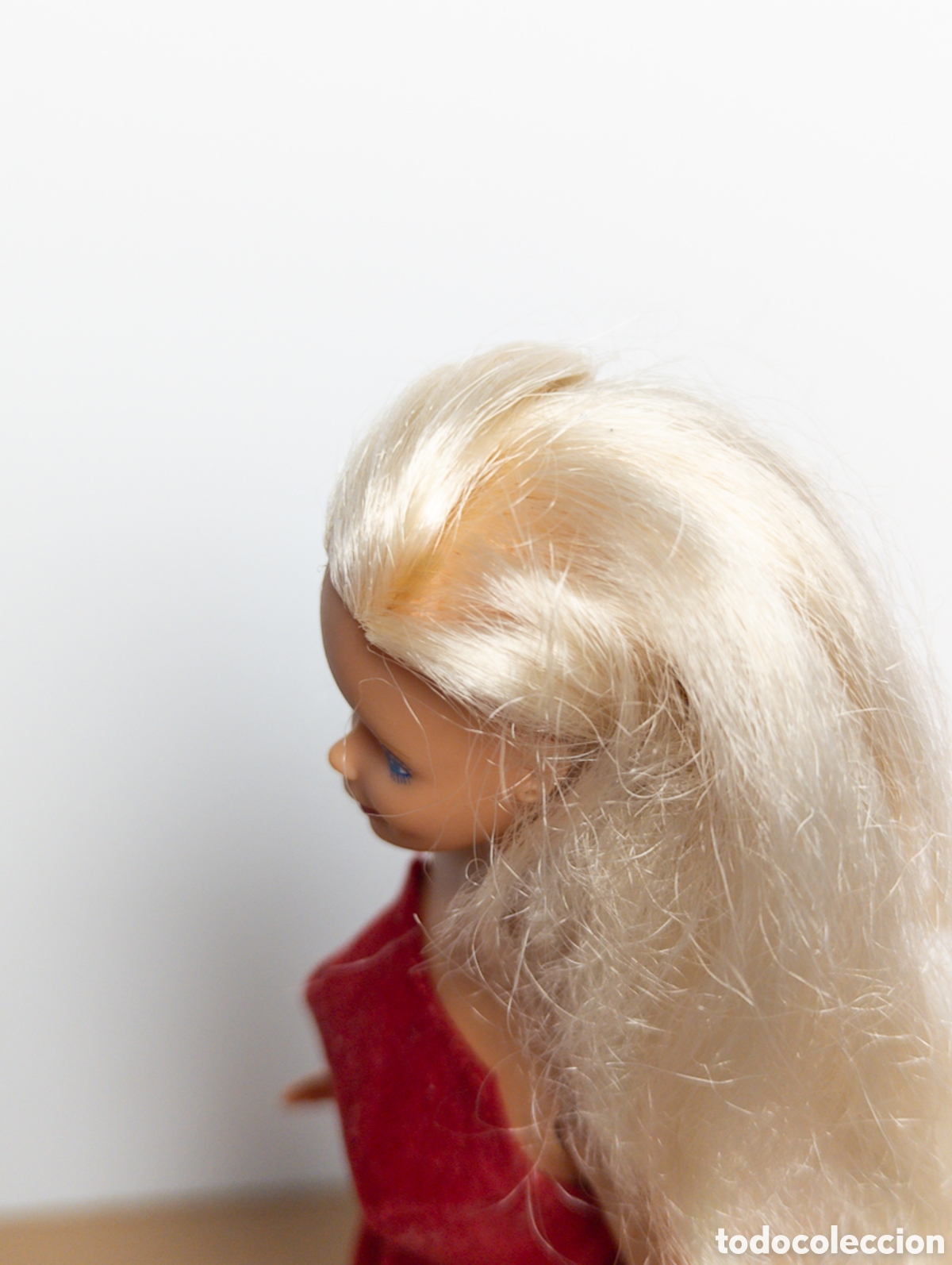 Barbie y Ken: Mu&ntilde;eca Barbie congost - Foto 8