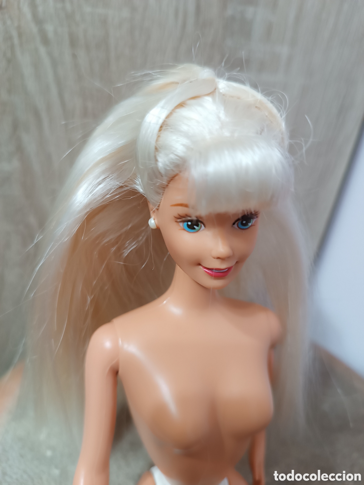 Barbie y Ken: Barbie profesora (teacher)