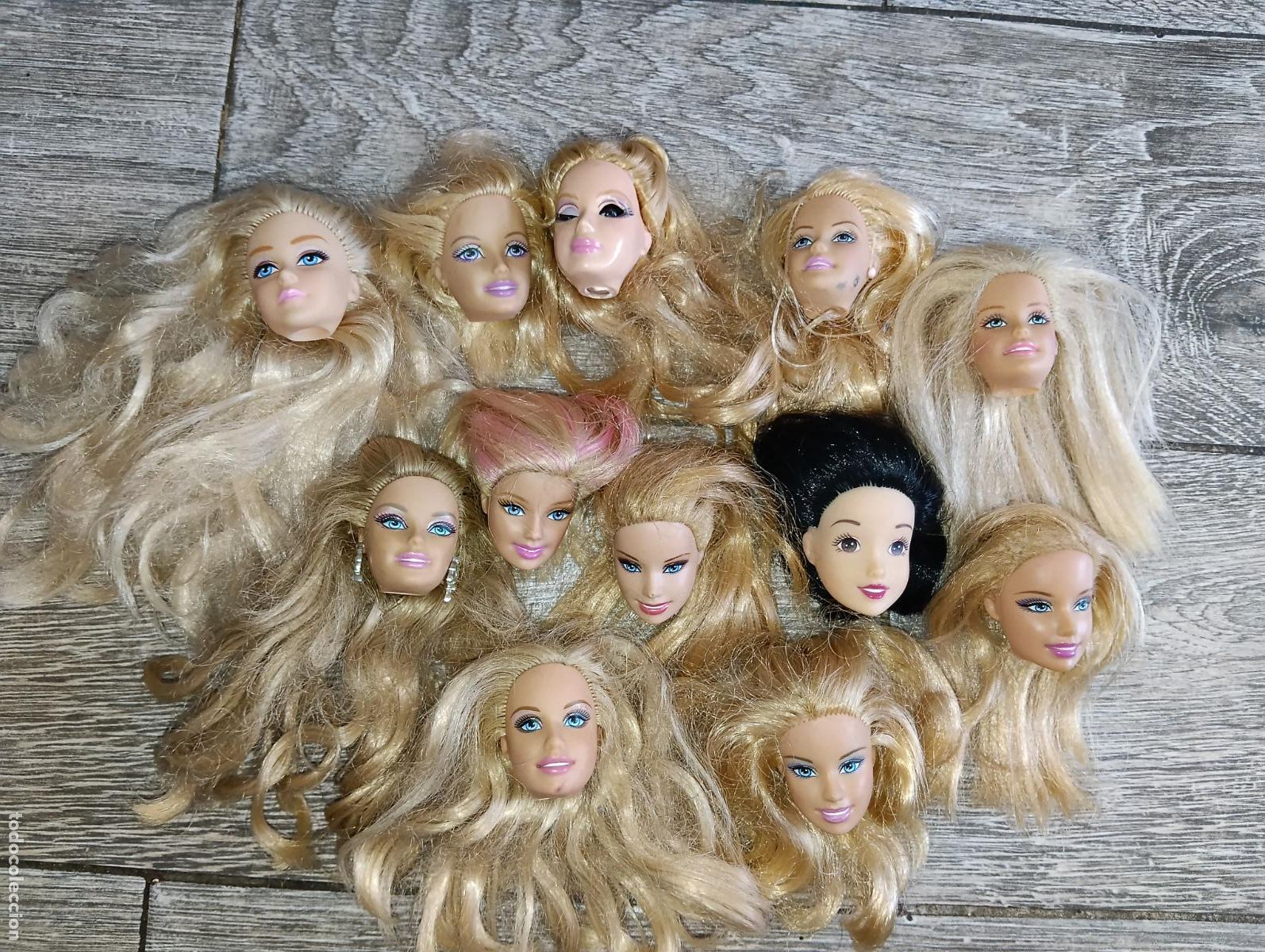 Barbie y Ken: Lote de cabezas de mu&ntilde;ecas Barbie