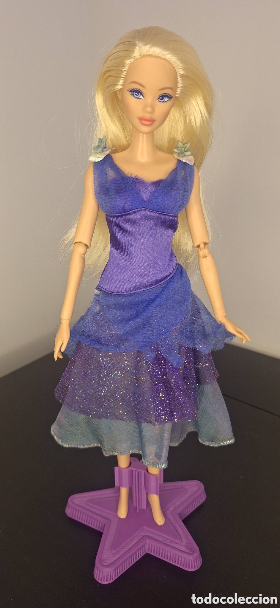 Barbie y Ken: Vestido Barbie Courtney barbie y las 12 princesas bailarinas