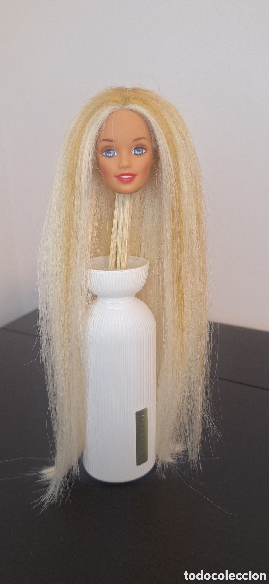 Barbie y Ken: Cabeza Teen Skipper 1996