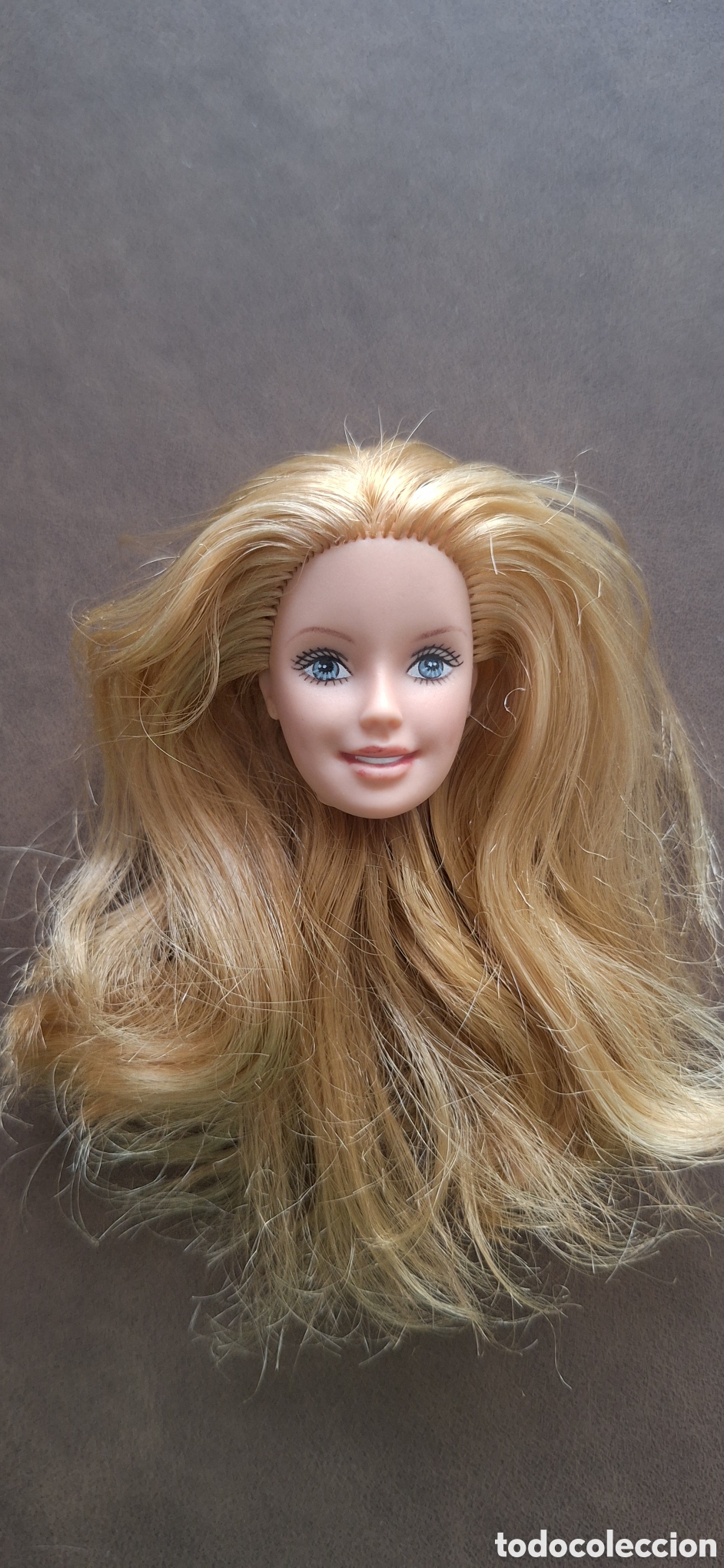 Barbie y Ken: cabeza Barbie finales de los 90