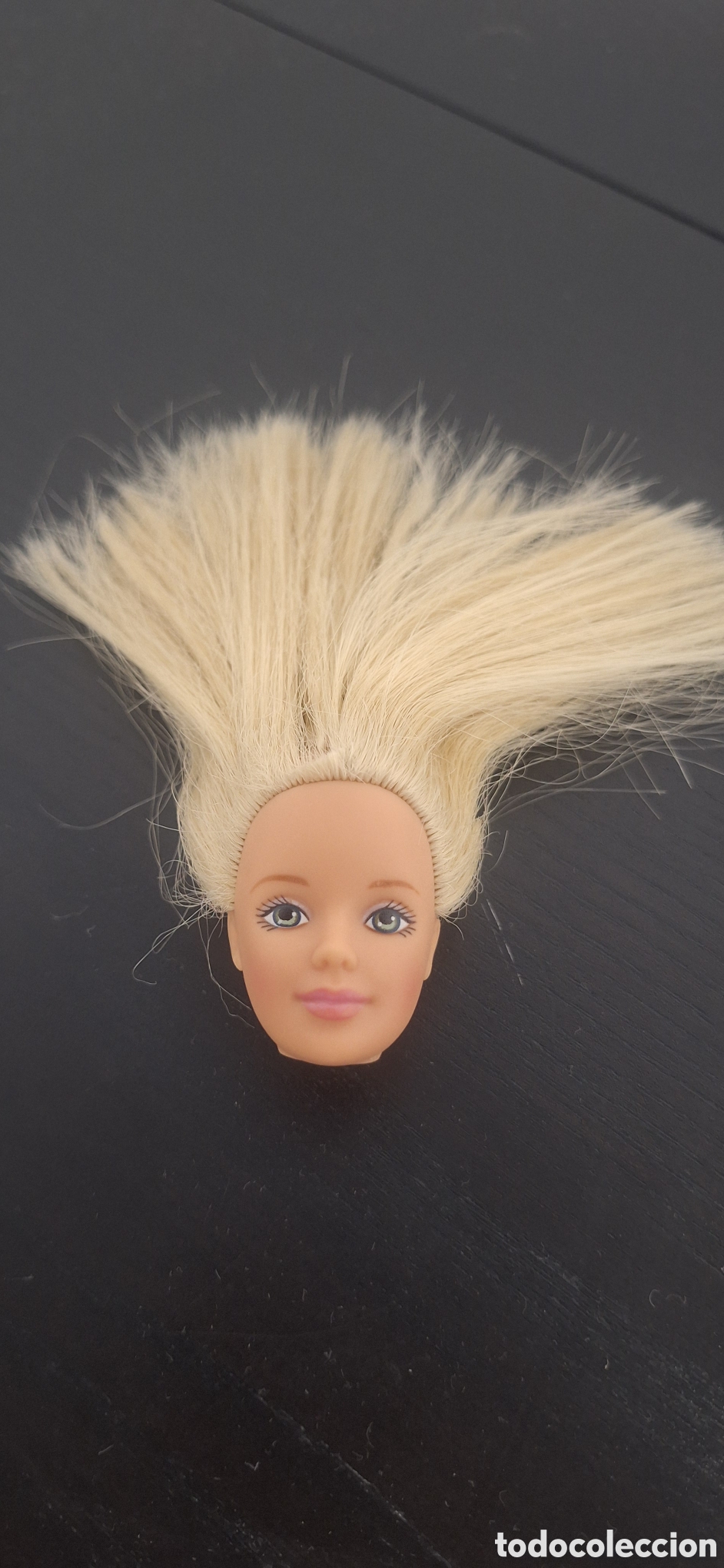 Barbie y Ken: cabeza barbie pretty n plaid