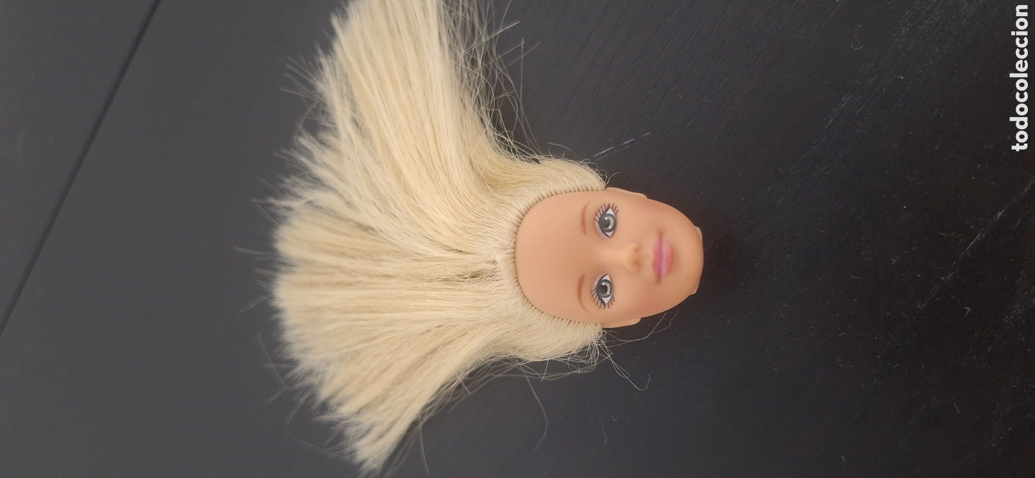 Barbie and Ken: cabeza barbie pretty n plaid