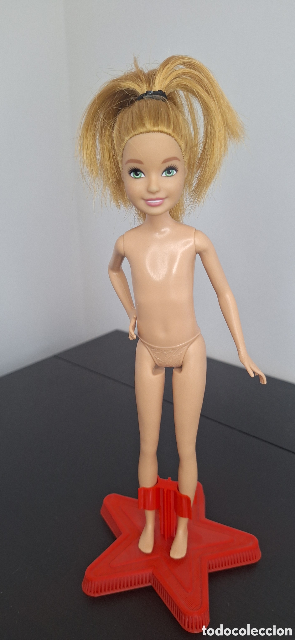 Barbie y Ken: hermana de Barbie Skipper/Stacie