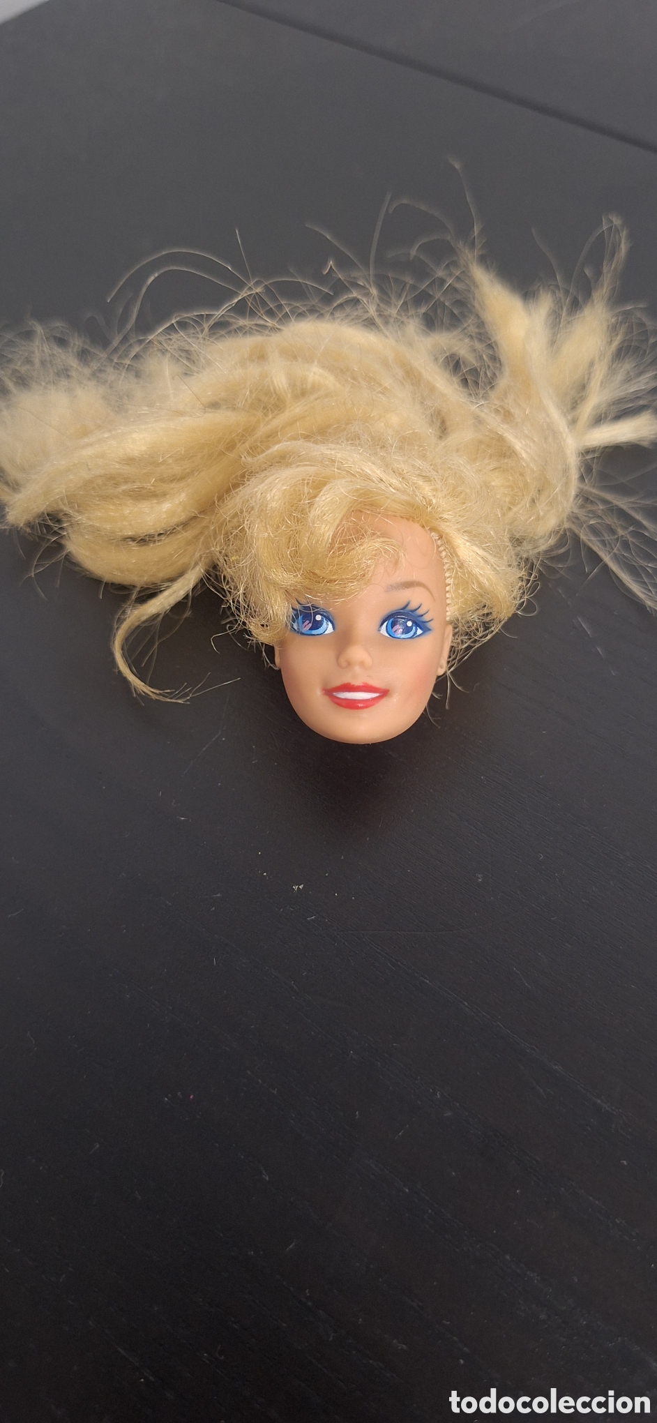 Barbie y Ken: cabeza Barbie Hollywood hair
