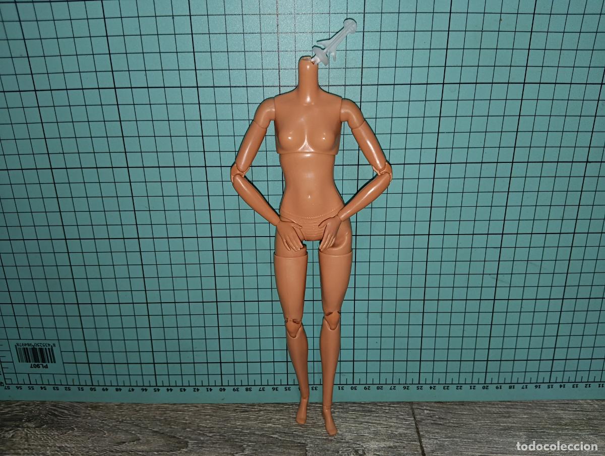 Barbie y Ken: Cuerpo de mu&ntilde;eca Barbie fashionista articulada