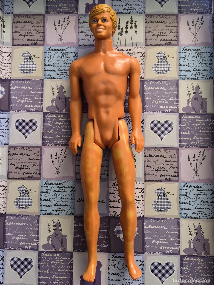 Barbie y Ken: Mu&ntilde;eco ken Island fun