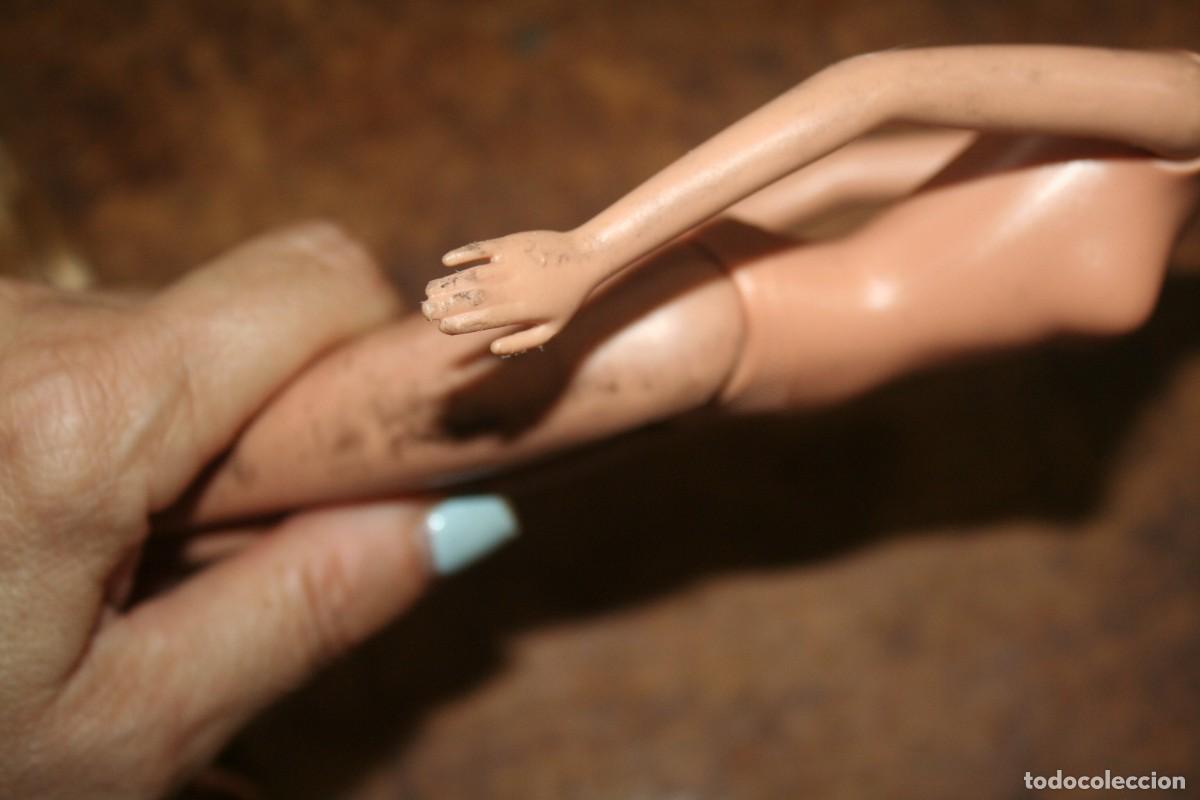 Barbie y Ken: lote de mu&ntilde;ecas barbie 6 mu&ntilde;ecas - Foto 9